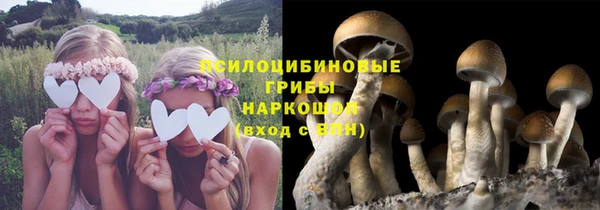 дурь Богородицк