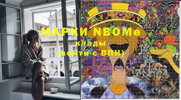 дурь Богородицк