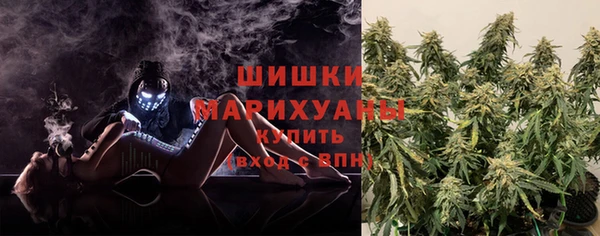 дурь Богородицк