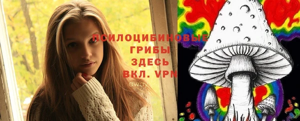 дурь Богородицк