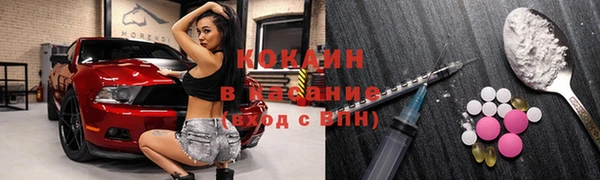 дурь Богородицк